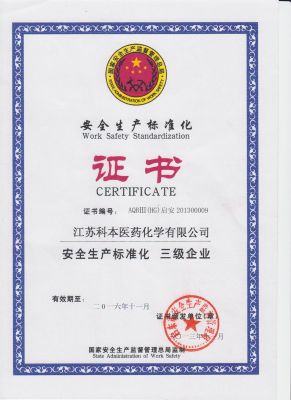安全標(biāo)準(zhǔn)化證書(shū)（新）